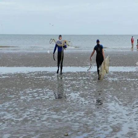 In Near The Beach, Cleaning Included * Koksijde
