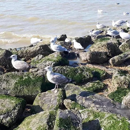 In Near The Beach, Cleaning Included