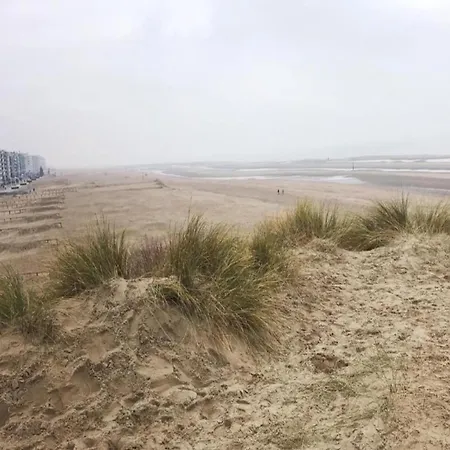Apartamento In Near The Beach, Cleaning Included Koksijde