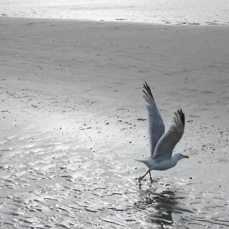 In Near The Beach, Cleaning Included